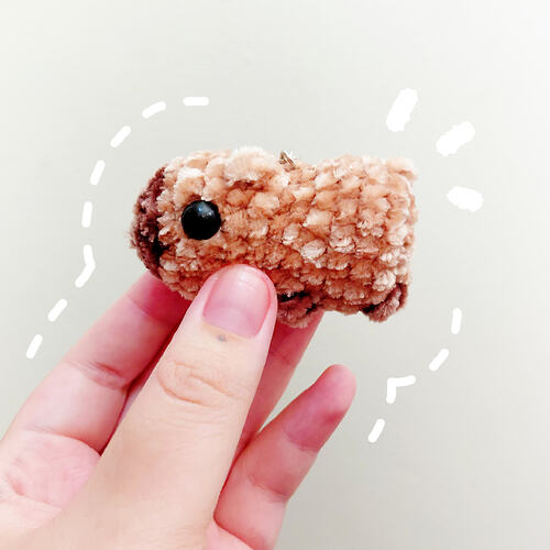 InShot_20260203_143120123