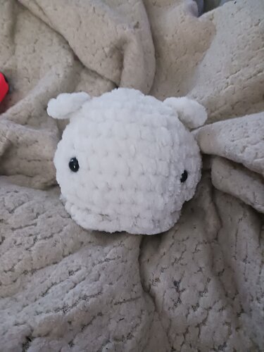 IMG_17403319299341119776769765515753