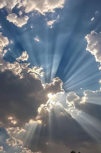 d2ea344c0e18f386f4b9d51787dc688b