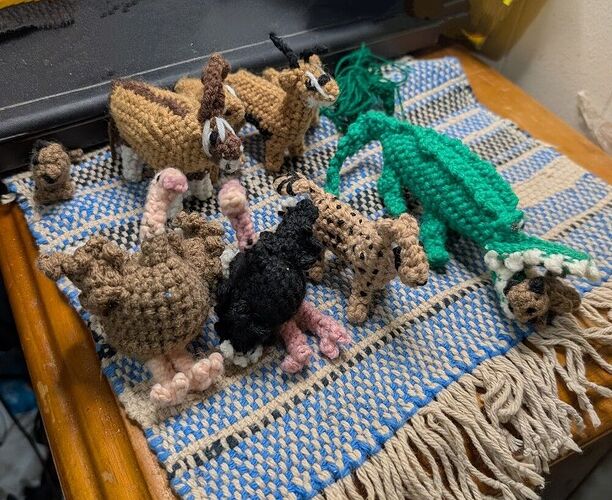 PXL_20260103_235347594~3