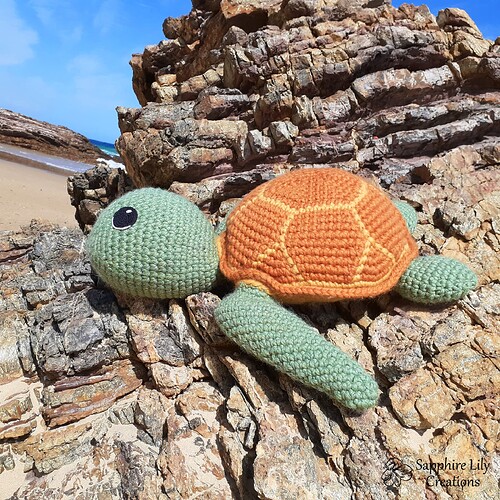 Sea Turtle - 7