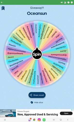 Screenshot_20250607_141531_Spin The Wheel