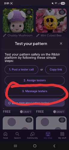Screenshot_20250704_145100_Ribblr