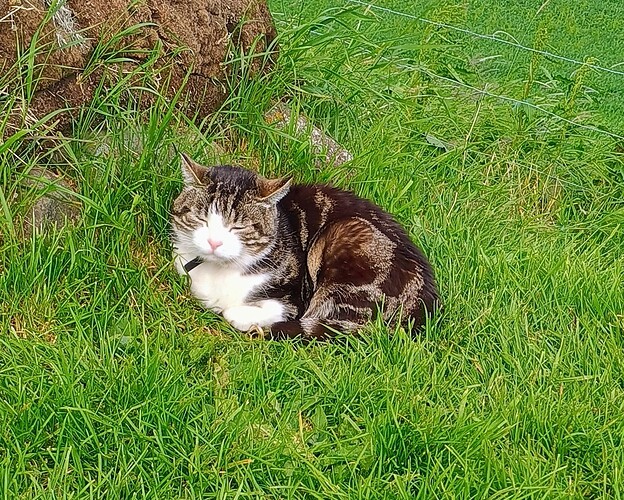 IMG_20250704_164026424_HDR_AE