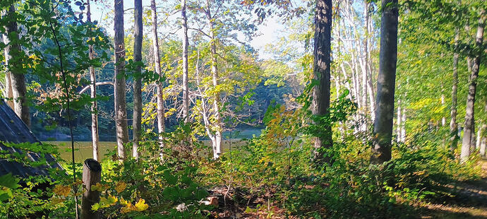 IMG_20250919_161115454_HDR_AE