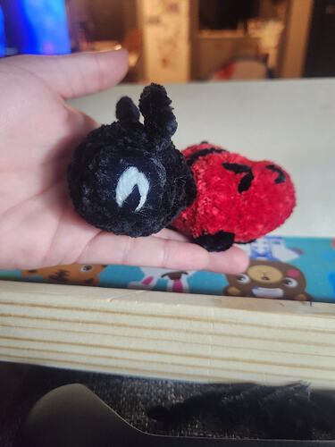 IMG_17700936656444387526050156911229