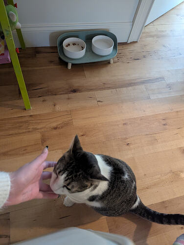 PXL_20251117_204411291.MP