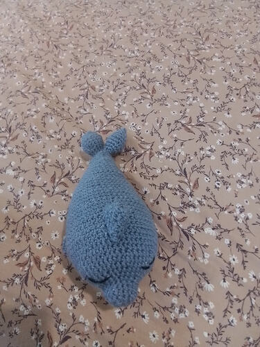 IMG_17639217184623694280927001269281