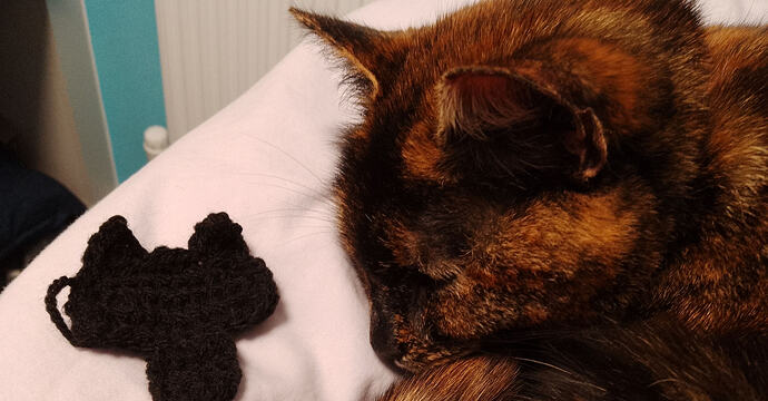 IMG_20260405_220643_806~2