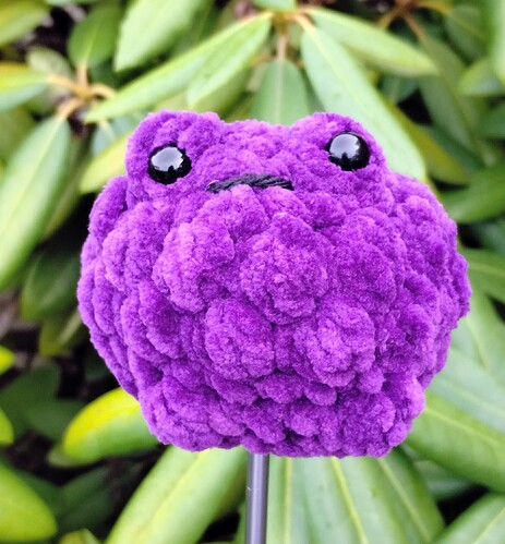 IMG_20251228_131701548~2