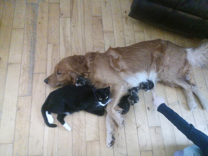 IMG_20251203_103631_320