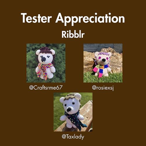 Naomi The Neon Hedgehog Crochet Pattern_ Tester Appreciation 2