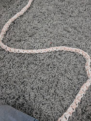 PXL_20251217_195910593