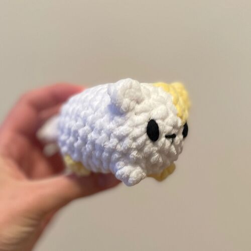 WhatsApp Image 2026-02-28 at 16.50.27 (3)