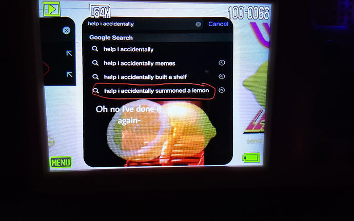 IMG_17658557468286259757147323153647