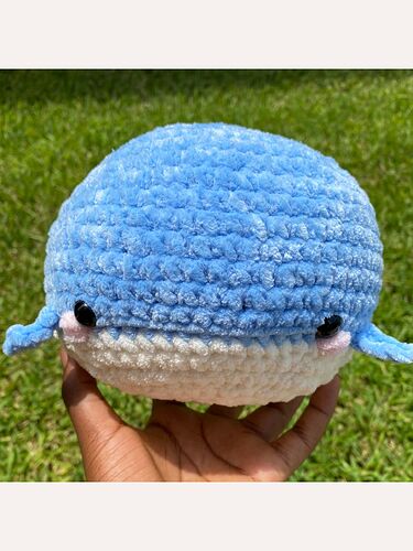 chonky chonky whale primary