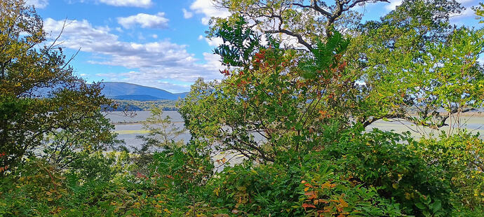 IMG_20251008_145627710_HDR_AE