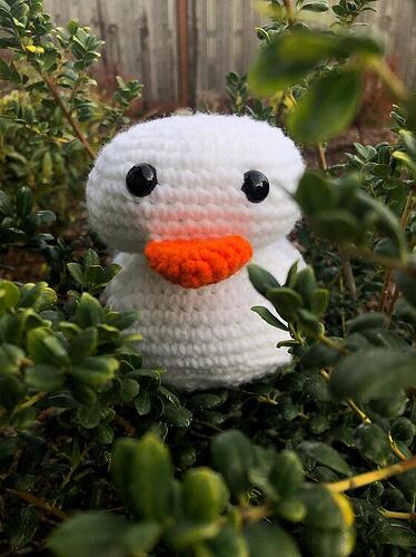 d11efab3c2383d43dd93885715e9c733b2f89d9d_2_562x750