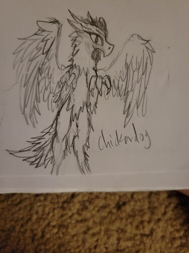 IMG_17690569969313813222928710279903