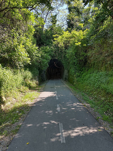 IMG_20250429_104533~2