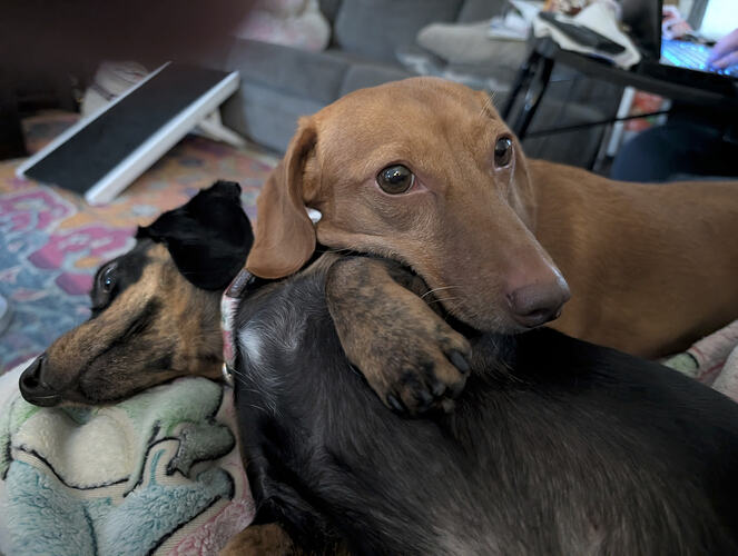 PXL_20260117_003216604