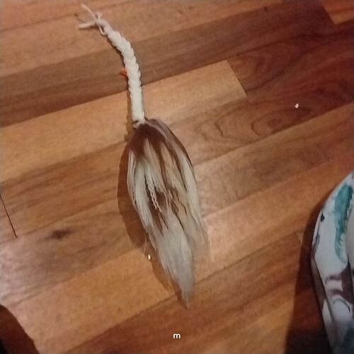 IMG_17674022043591524649670214962878