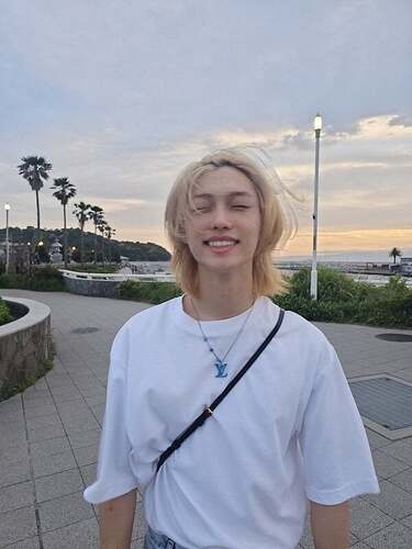 13062361__2145088009