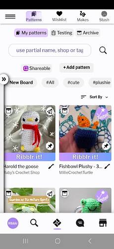 Screenshot_20250114_194942_Ribblr