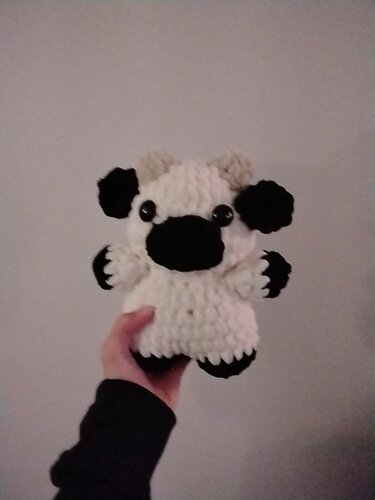 17386076004874728488353261502205