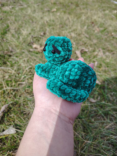 IMG_20260212_114333403_HDR