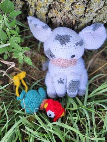 Resized_20250915_102741