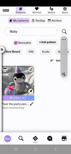 Screenshot_20250114_204535_Ribblr