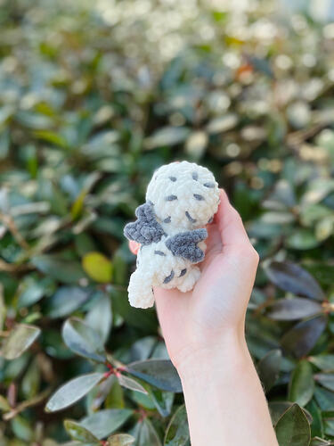 Image_20260214_112418_706