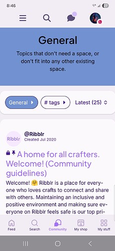 Screenshot_20250813_204659_Ribblr