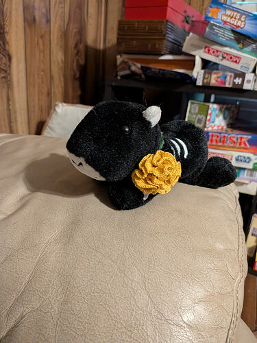 PXL_20251030_202118025.MP