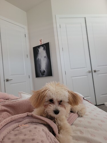 IMG_17519034023718574437924791898908