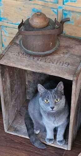 IMG-20250314-WA0013