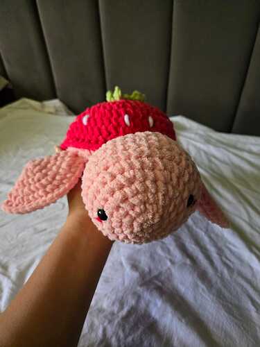 IMG-20260529-WA0003