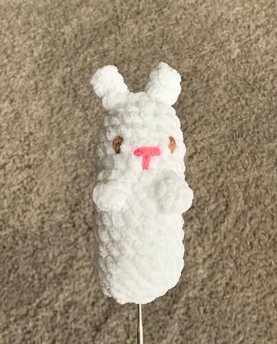 long bunny cover pic