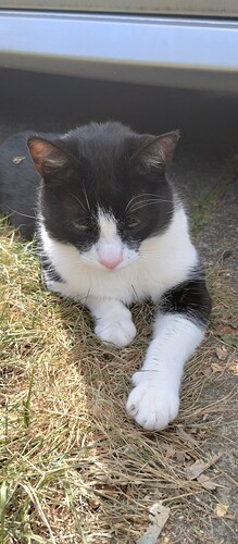 IMG_20250510_114707609_HDR