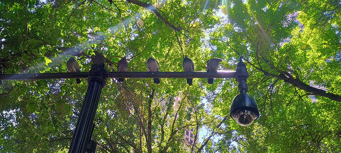 IMG_20250826_124347860_HDR_AE