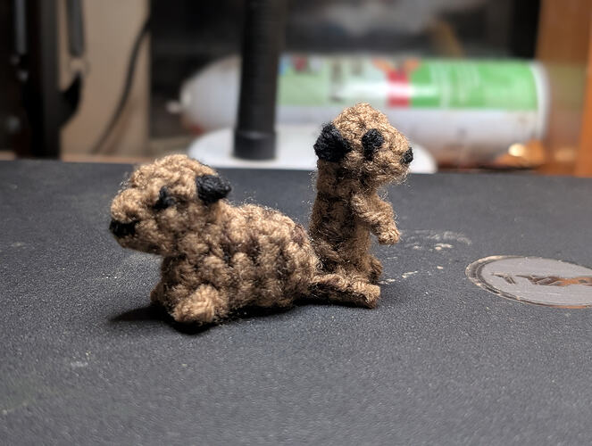 PXL_20251231_033653243.PORTRAIT