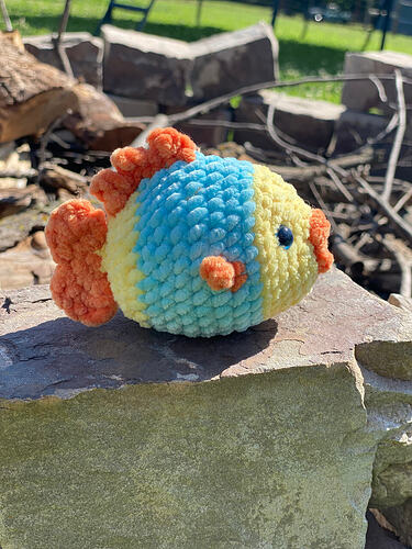 IMG_8067