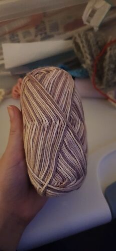 IMG_17693104471972744427915558518598