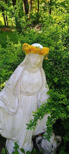 IMG_20250510_123330467_HDR_AE