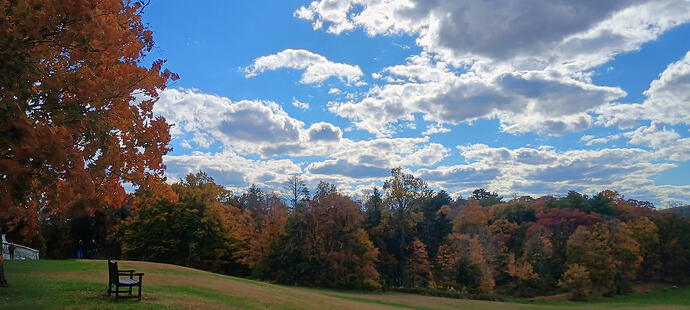 IMG_20251022_144336857_HDR_AE