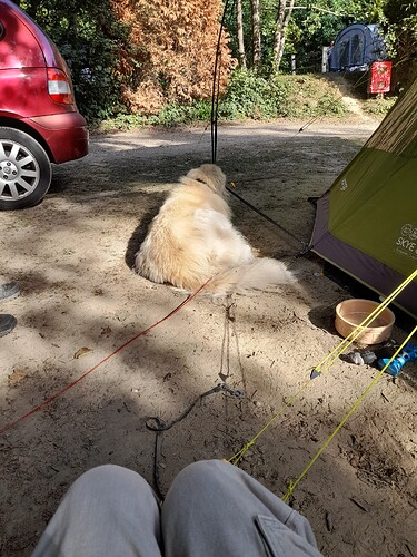 IMG_17560502902676070981886299193787