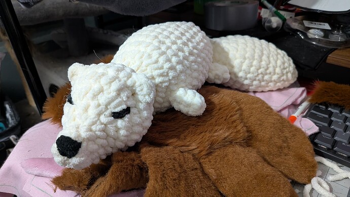 PXL_20251003_031923168