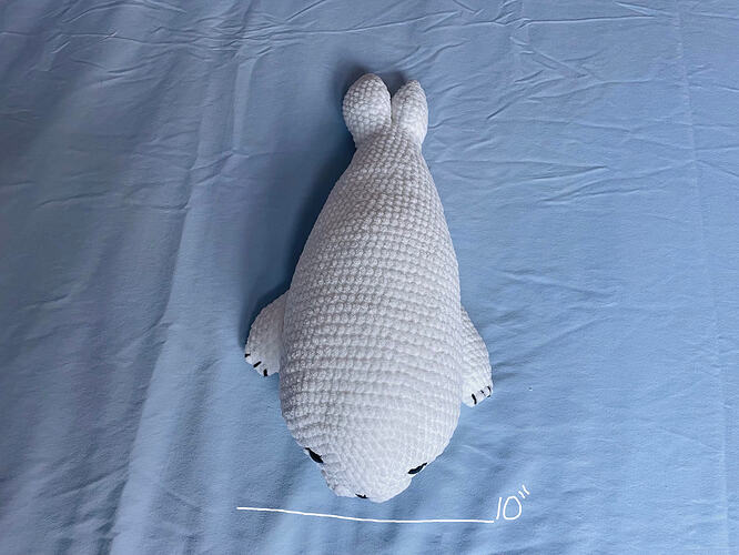 FullSizeRender