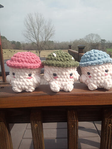 IMG_20260219_120612_720